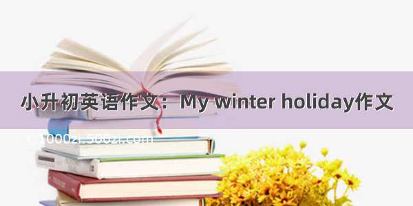小升初英语作文：My winter holiday作文