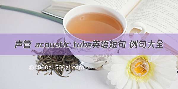 声管 acoustic tube英语短句 例句大全