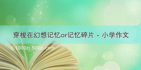 穿梭在幻想记忆or记忆碎片 - 小学作文