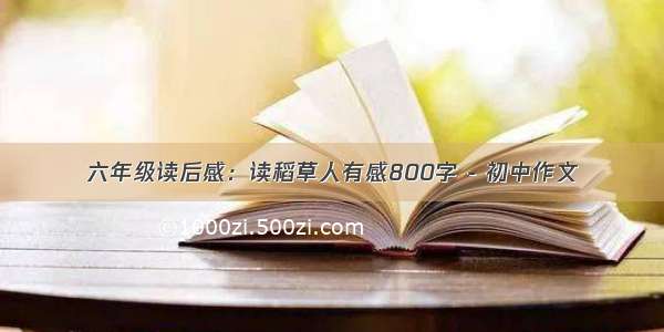 六年级读后感：读稻草人有感800字 - 初中作文