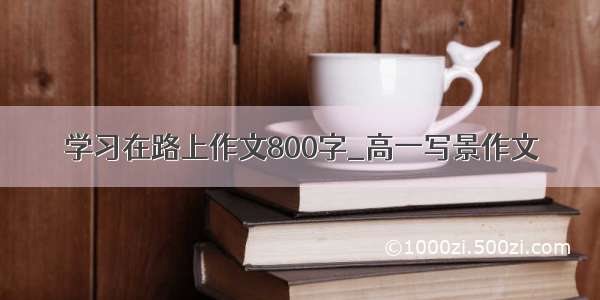 学习在路上作文800字_高一写景作文