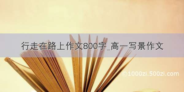 行走在路上作文800字_高一写景作文