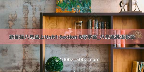 新目标八年级上Unit1 Section B导学案_八年级英语教案