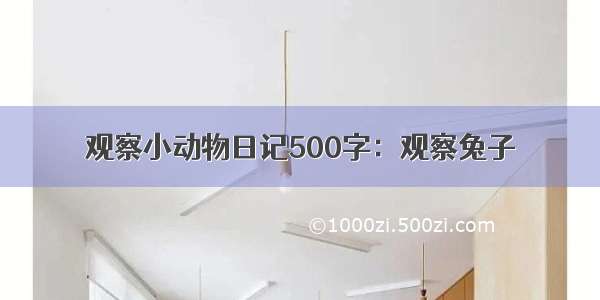 观察小动物日记500字：观察兔子