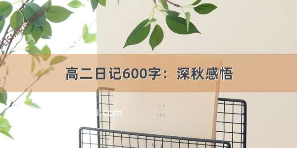 高二日记600字：深秋感悟