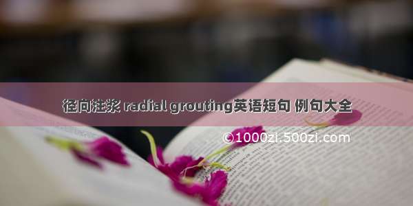 径向注浆 radial grouting英语短句 例句大全