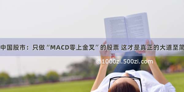 中国股市：只做“MACD零上金叉”的股票 这才是真正的大道至简