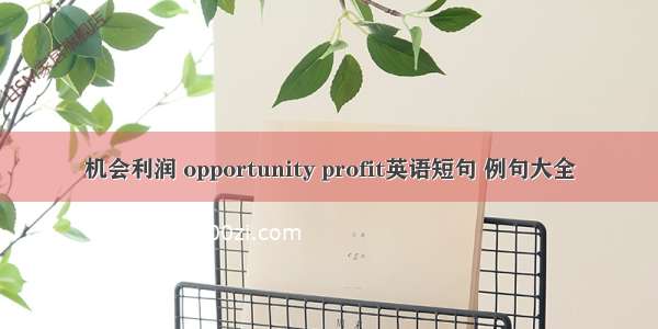 机会利润 opportunity profit英语短句 例句大全