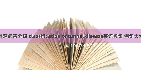 隧道病害分级 classification of tunnel disease英语短句 例句大全