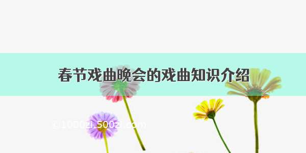 春节戏曲晚会的戏曲知识介绍