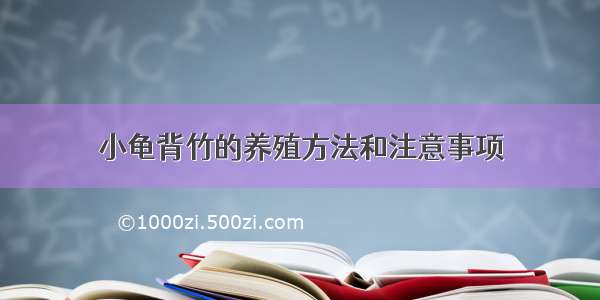 小龟背竹的养殖方法和注意事项