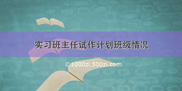 实习班主任试作计划班级情况