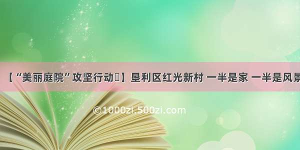 【“美丽庭院”攻坚行动㉛】垦利区红光新村 一半是家 一半是风景