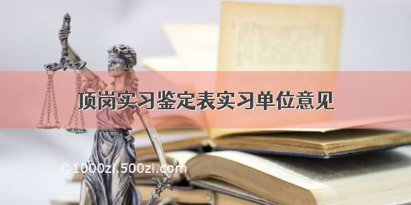 顶岗实习鉴定表实习单位意见