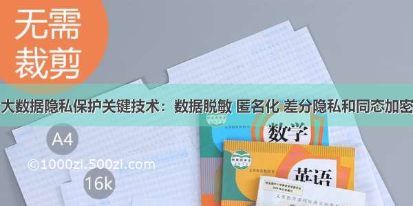 大数据隐私保护关键技术：数据脱敏 匿名化 差分隐私和同态加密