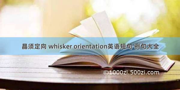 晶须定向 whisker orientation英语短句 例句大全