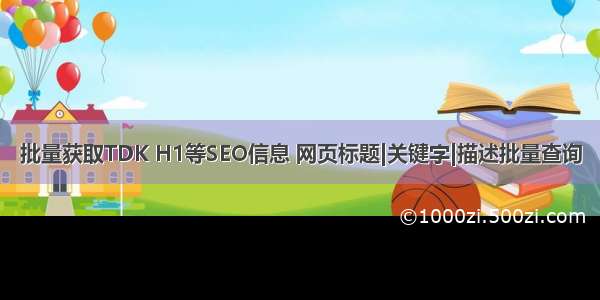 批量获取TDK H1等SEO信息 网页标题|关键字|描述批量查询