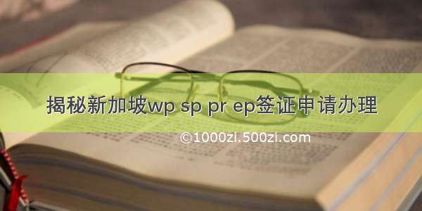揭秘新加坡wp sp pr ep签证申请办理