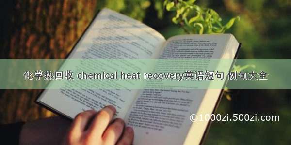 化学热回收 chemical heat recovery英语短句 例句大全