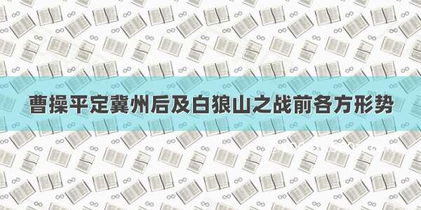 曹操平定冀州后及白狼山之战前各方形势