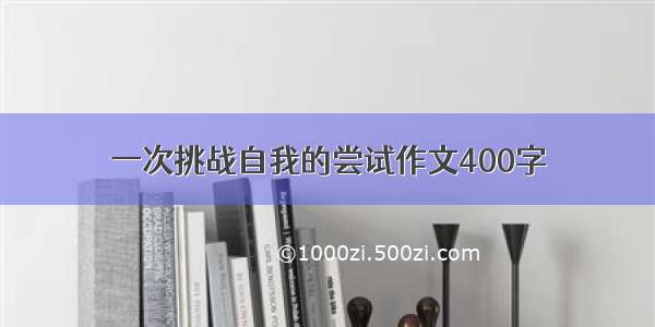 一次挑战自我的尝试作文400字