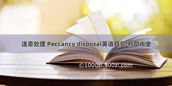 违章处理 Peccancy disposal英语短句 例句大全