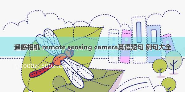 遥感相机 remote sensing camera英语短句 例句大全