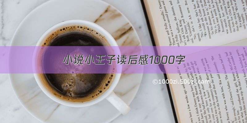 小说小王子读后感1000字