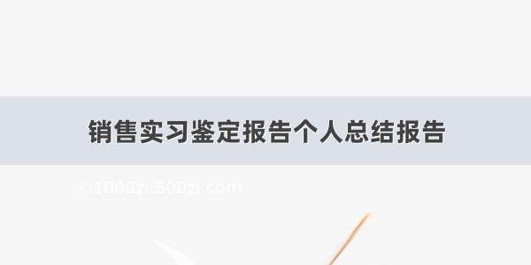 销售实习鉴定报告个人总结报告