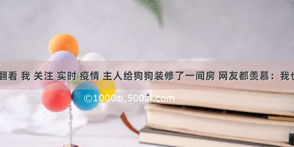 刷新 翻看 我 关注 实时 疫情 主人给狗狗装修了一间房 网友都羡慕：我也想住