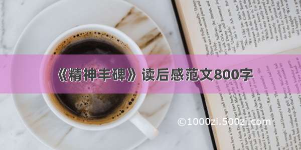 《精神丰碑》读后感范文800字