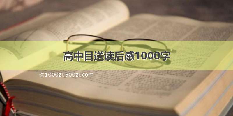 高中目送读后感1000字