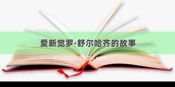 爱新觉罗·舒尔哈齐的故事