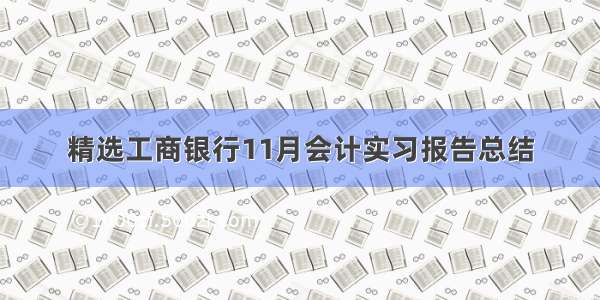 精选工商银行11月会计实习报告总结