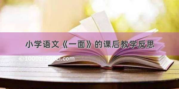 小学语文《一面》的课后教学反思