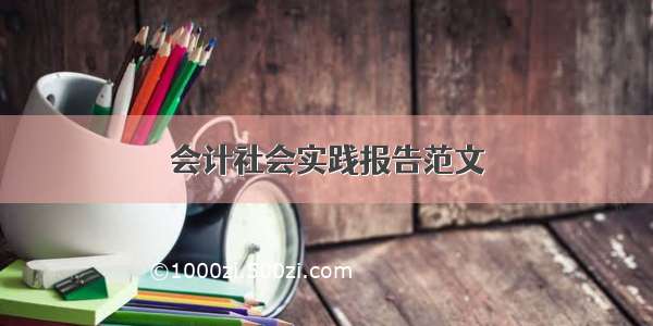 会计社会实践报告范文