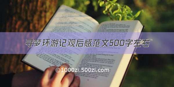 寻梦环游记观后感范文500字左右