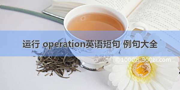 运行 operation英语短句 例句大全