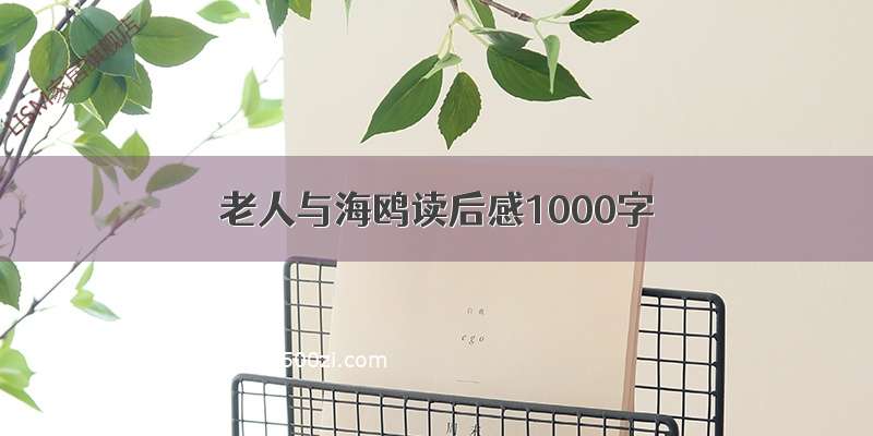 老人与海鸥读后感1000字