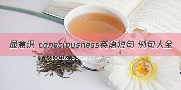 显意识 consciousness英语短句 例句大全