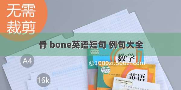 骨 bone英语短句 例句大全