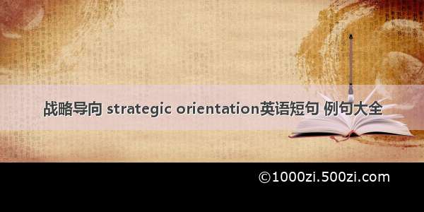 战略导向 strategic orientation英语短句 例句大全