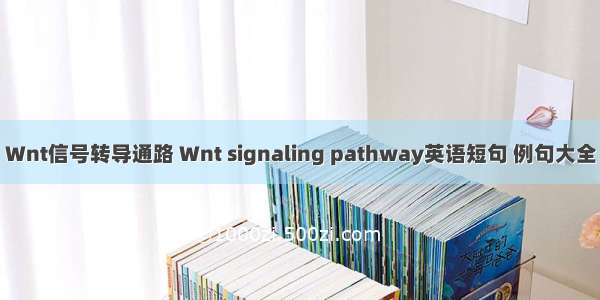 Wnt信号转导通路 Wnt signaling pathway英语短句 例句大全