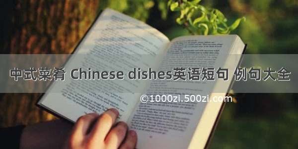 中式菜肴 Chinese dishes英语短句 例句大全