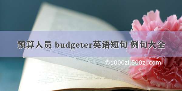 预算人员 budgeter英语短句 例句大全