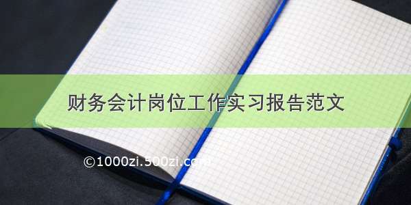 财务会计岗位工作实习报告范文