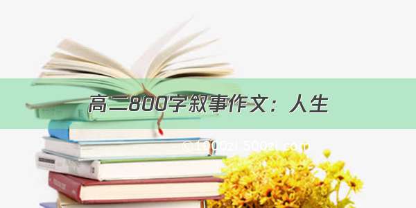 高二800字叙事作文：人生