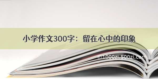 小学作文300字：留在心中的印象