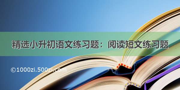 精选小升初语文练习题：阅读短文练习题