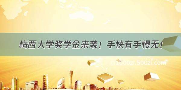 梅西大学奖学金来袭！手快有手慢无！